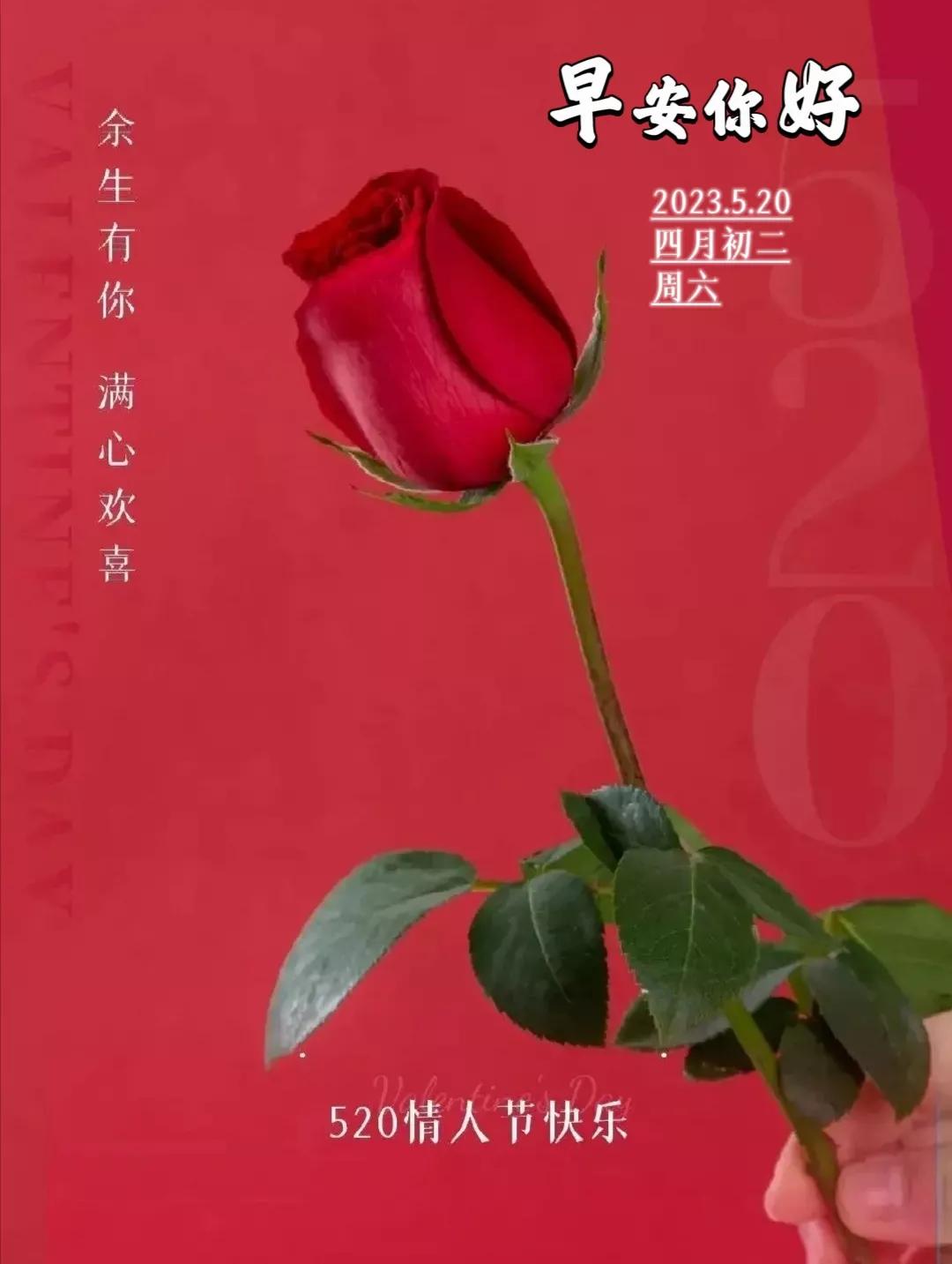 【2023.5.20】周六早上好|520情人节暖心祝福语520文案唯美图片