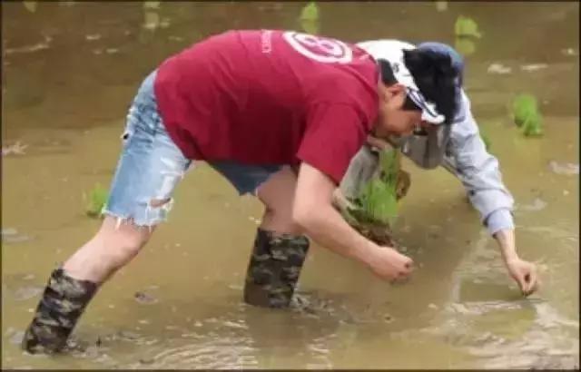 从濒临倒闭到日本顶级料理，百年老店的商业模式转型之道