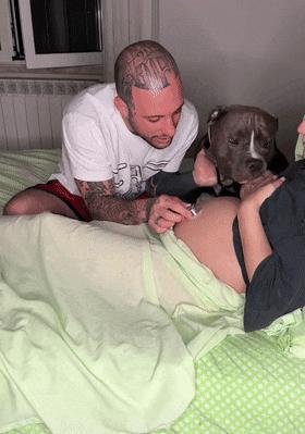 狗狗听主人胎动很惊讶,狗狗听胎动惊讶