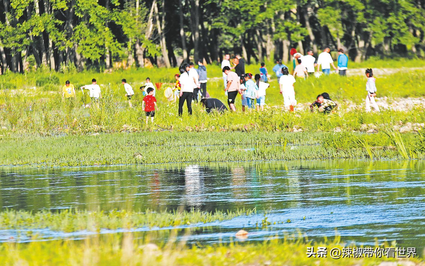 驻马店市文化旅游区,河南省驻马店市人文旅游