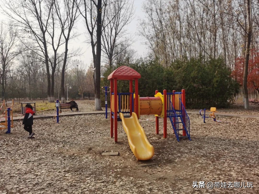 在森林公园里玩耍,中国可以骑行的森林公园