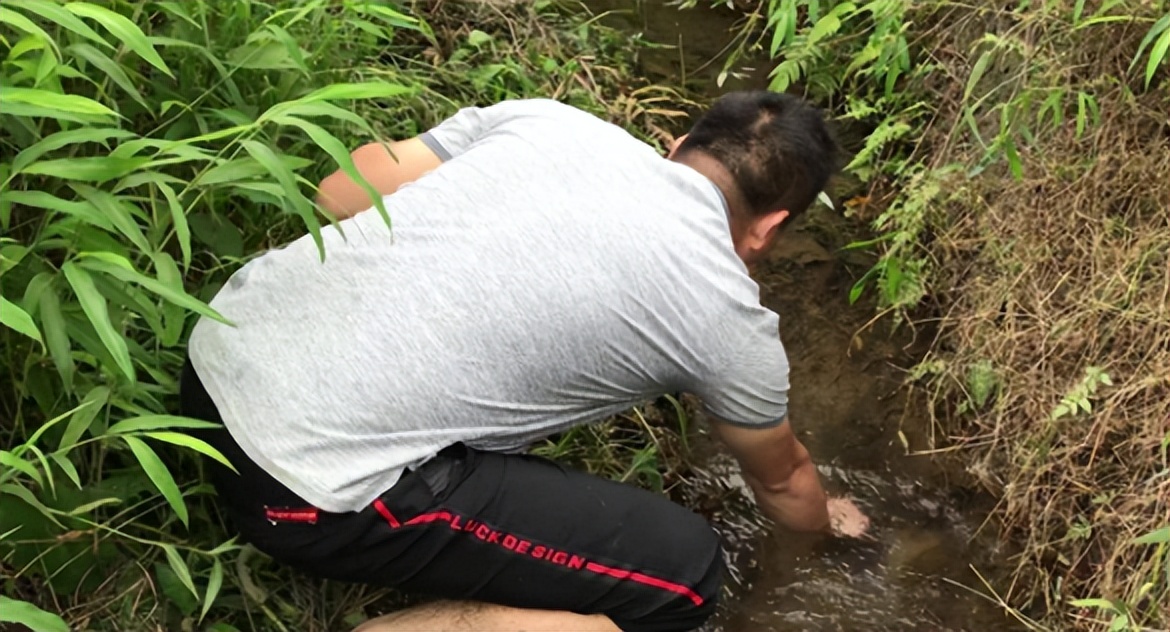 龚清孝：吃草上瘾得以赚钱娶媳妇，34年吃了40吨草：我就喜欢吃草