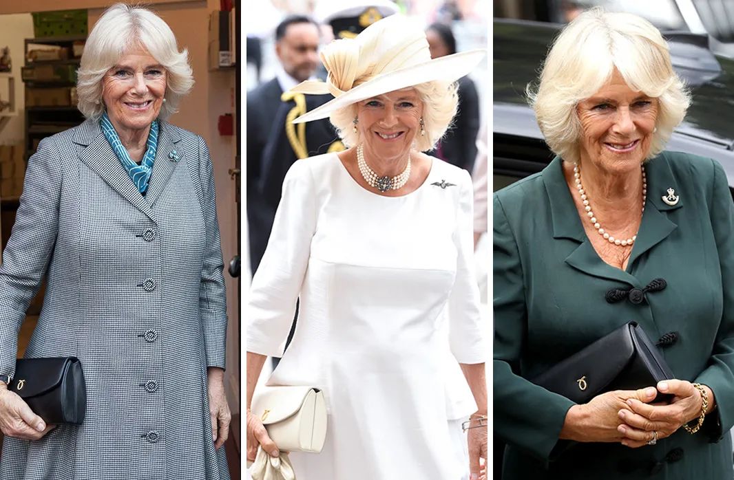 英国女王最喜欢的包包牌子,英国女王拿的包包价格