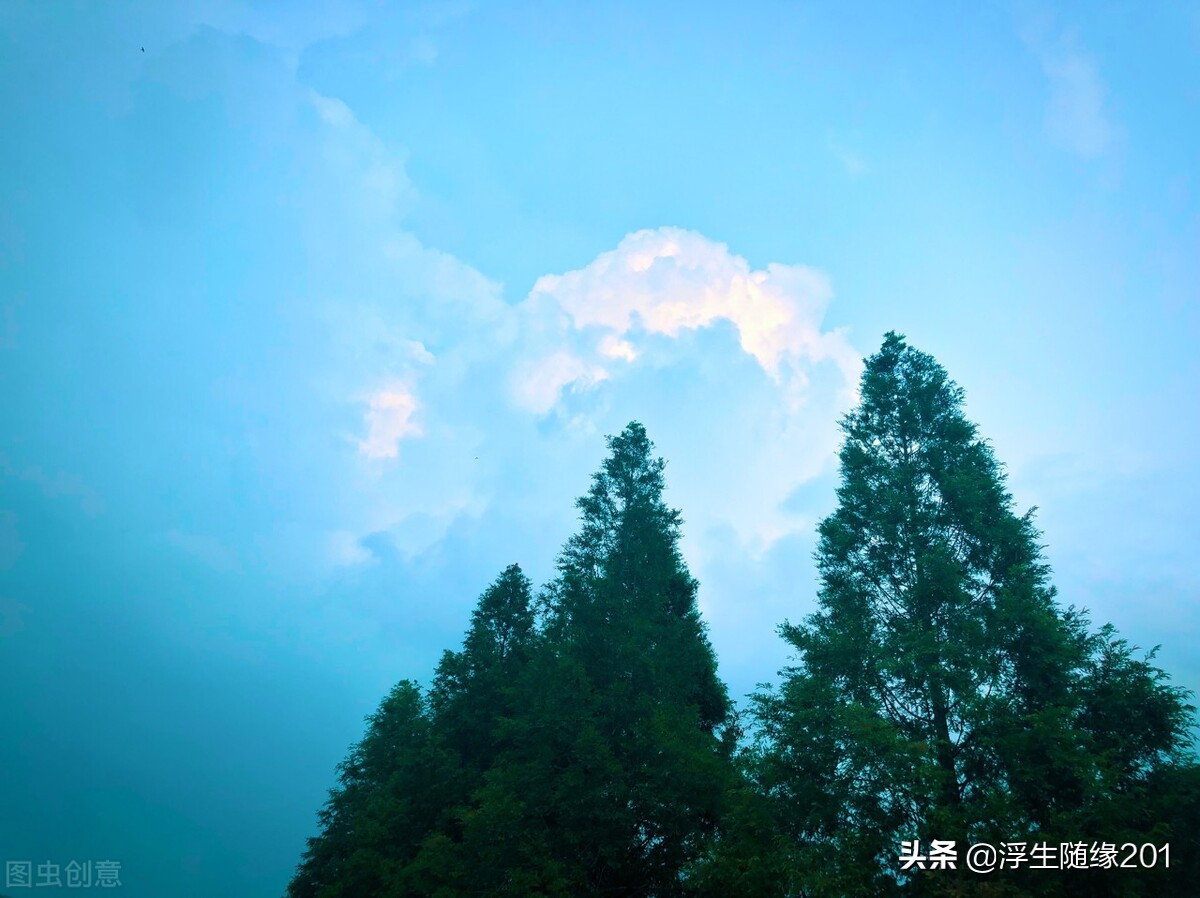 从你的全世界路过里面的一段台词,从你的全世界路过25个经典语录