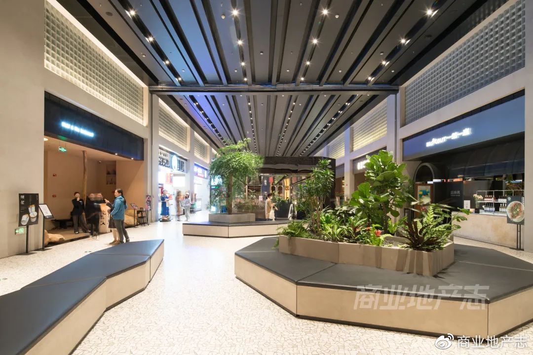 CRR速记|DT51，SKP的mini版？