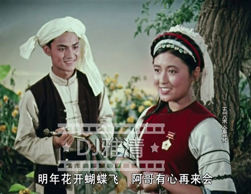 经典真实的庐山恋电影,庐山恋经典爱情电影