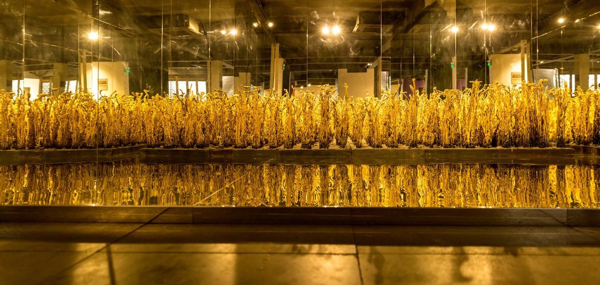 凭什么他就可以后来居上,凭什么他可以后来居上是什么梗