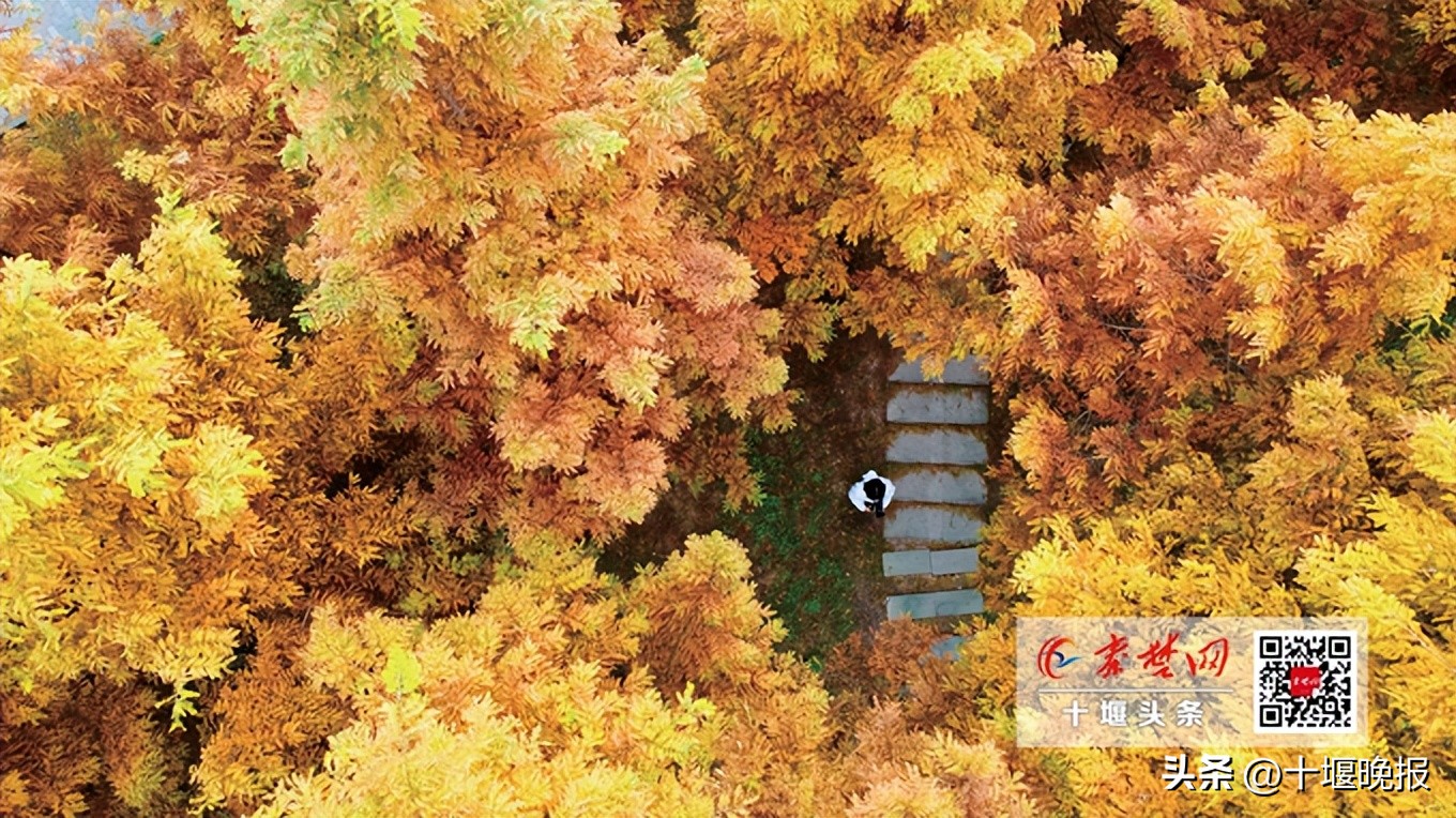十堰秋天好玩的景点推荐,十堰红叶最佳路线