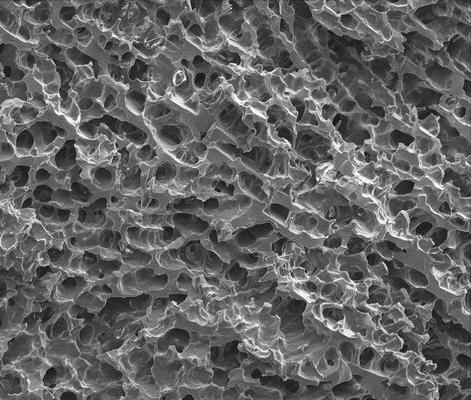 银离子浸渍海藻酸盐及其抗菌性能