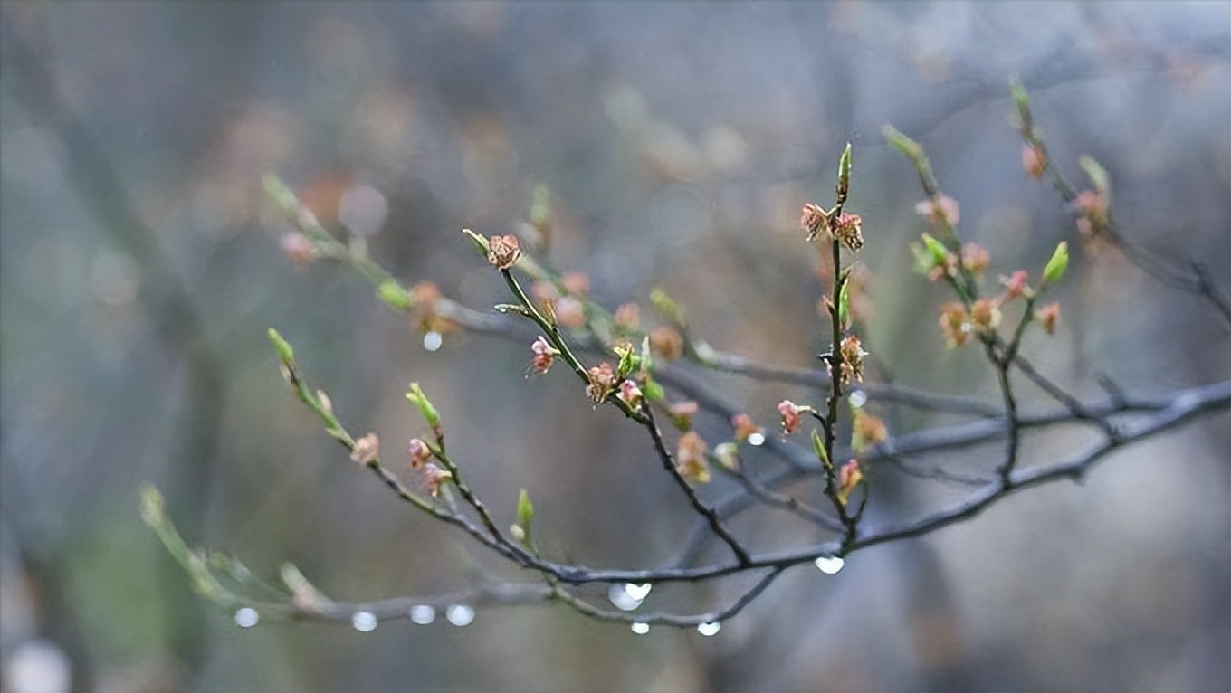 *光春**轻轻地锁住了我和你