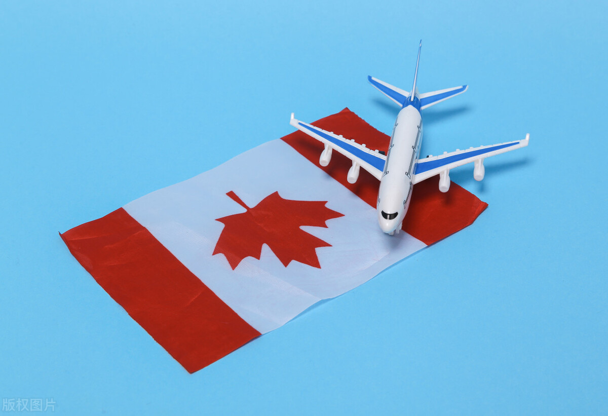 国外放开管控后经济好的国家,对外贸易增值税适用政策