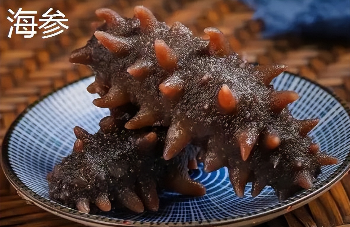 仿刺参进口,马来西亚仿刺参