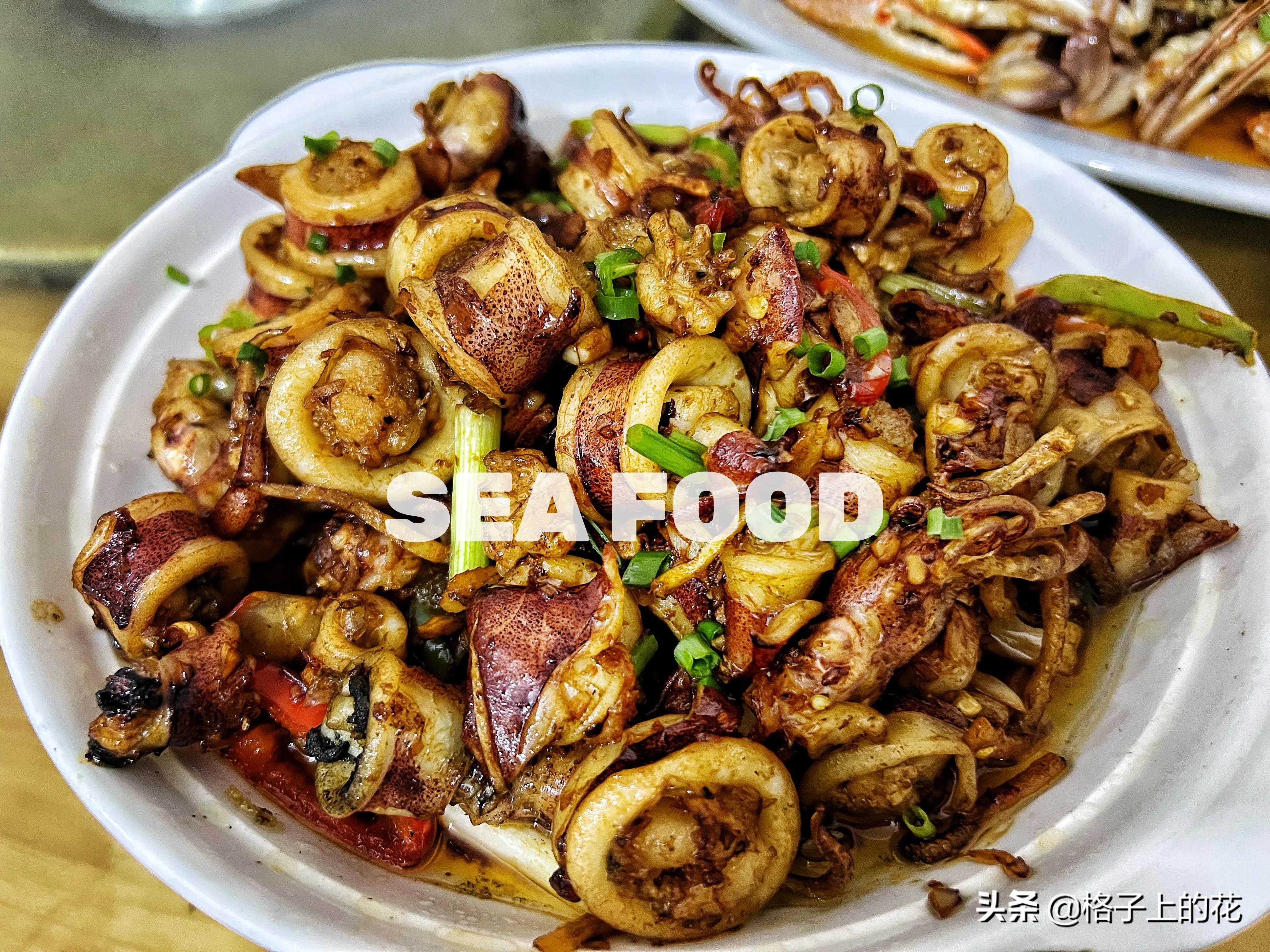 惠州怎么坐船出海旅游,惠州坐船上岛游玩攻略