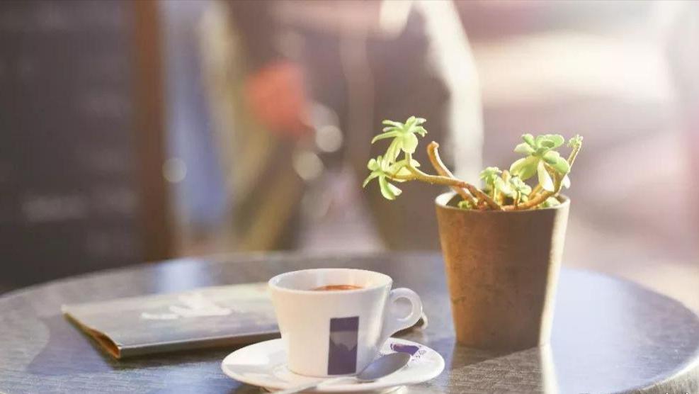 2023，只愿时光不老，只许故人不散