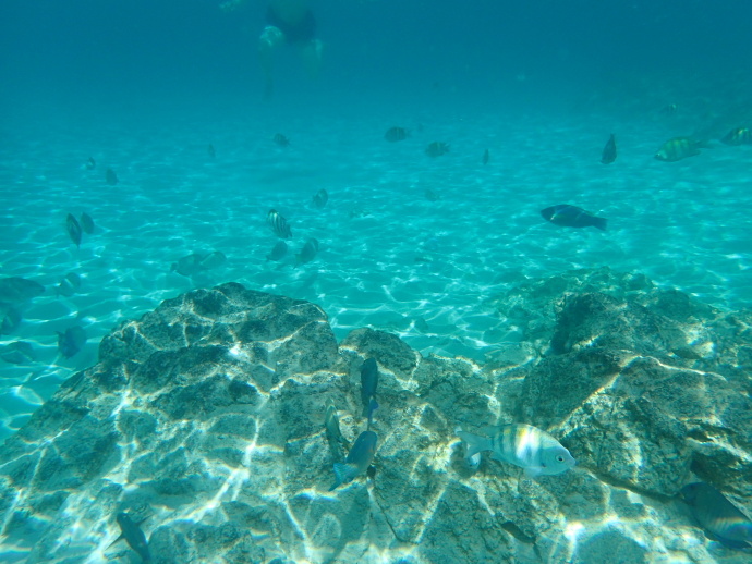 美维尔京群岛,美属维尔京群岛加勒比海