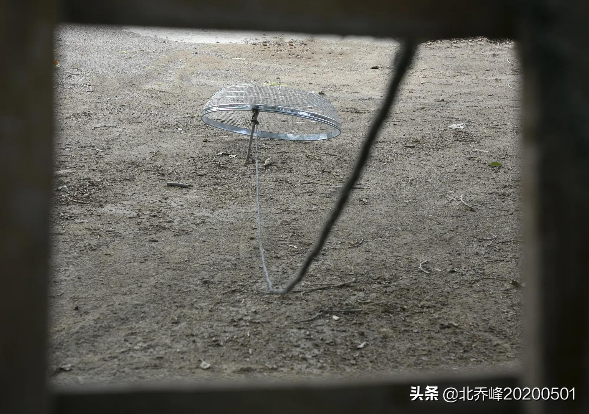 儿时游戏玩具,80年代游戏手工玩具