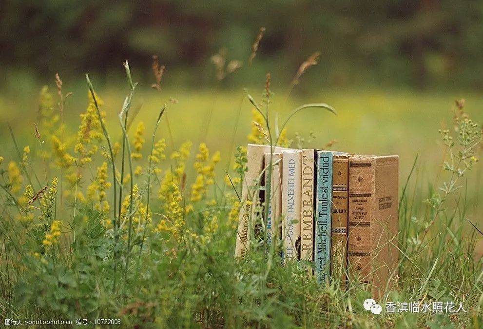 奋斗成就梦想作文600字初一,奋斗成就梦想作文150字左右