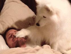 晚上睡觉磨牙老做梦,睡眠质量差磨牙做梦说梦话