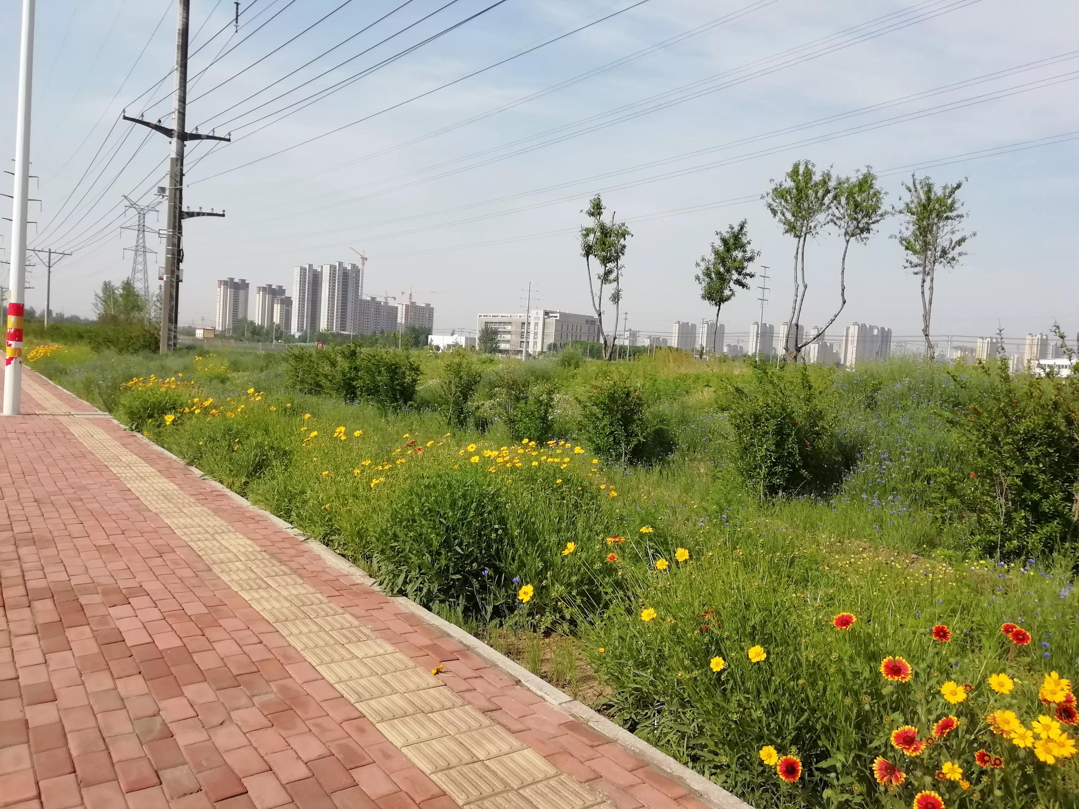 我的跑步历程回忆之路,我的运动经验分享