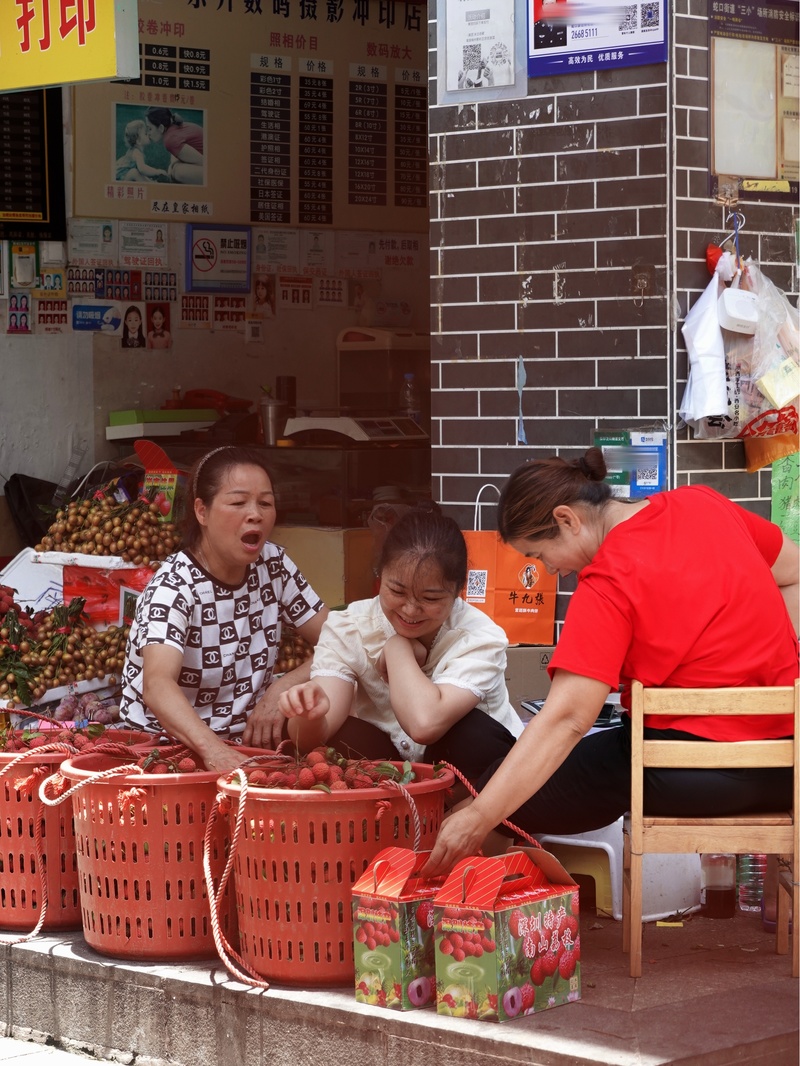 深圳市蛇口攻略,深圳海岛蛇口
