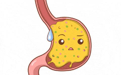 胃动力不足怎么办教你一招解决,胃肠动力不足表现