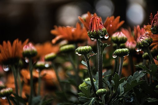 明天自有明天的忧愁,把明天的烦恼交给明天