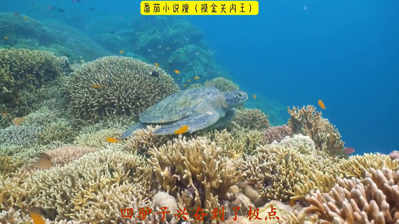 超爆小故事爱情,超爆小故事和校霸谈恋爱