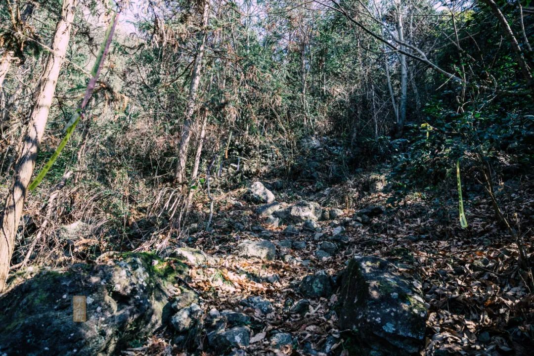 鍏泜绉樺,浠欏眳鍏泜绉樺