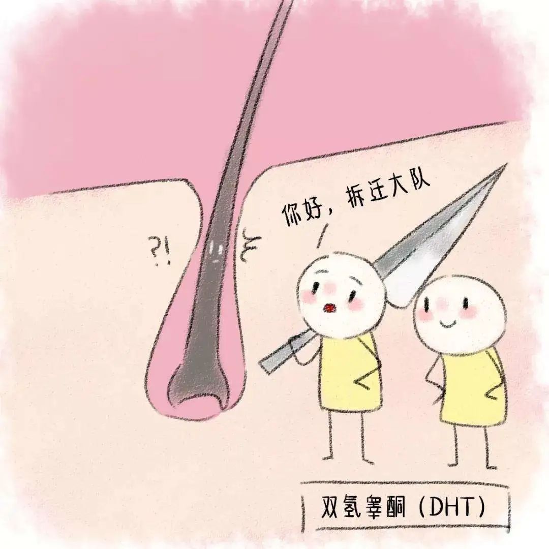 发际线头发稀少吃中药能调节吗,中医治发际线最好的方法