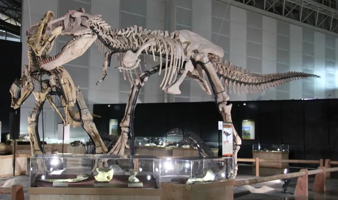 中国十大恐龙图鉴,100种恐龙名字图鉴图文