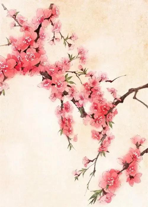 春意盎然桃花绝美诗句,关于桃花浪漫的古诗词大全