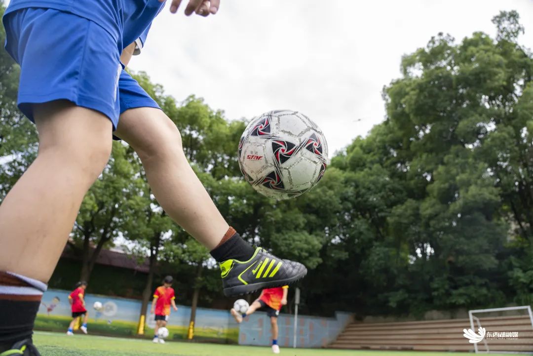 东西湖学校好不好,东西湖区比较好学校