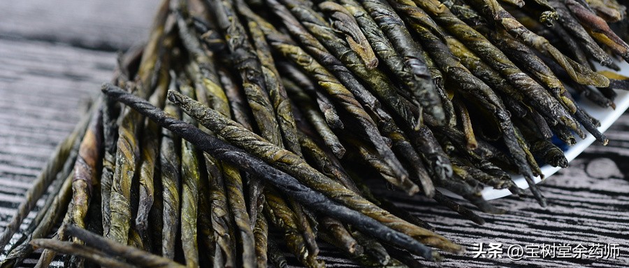 苦丁茶不是药为什么可以治病,入药的苦丁茶能不能喝