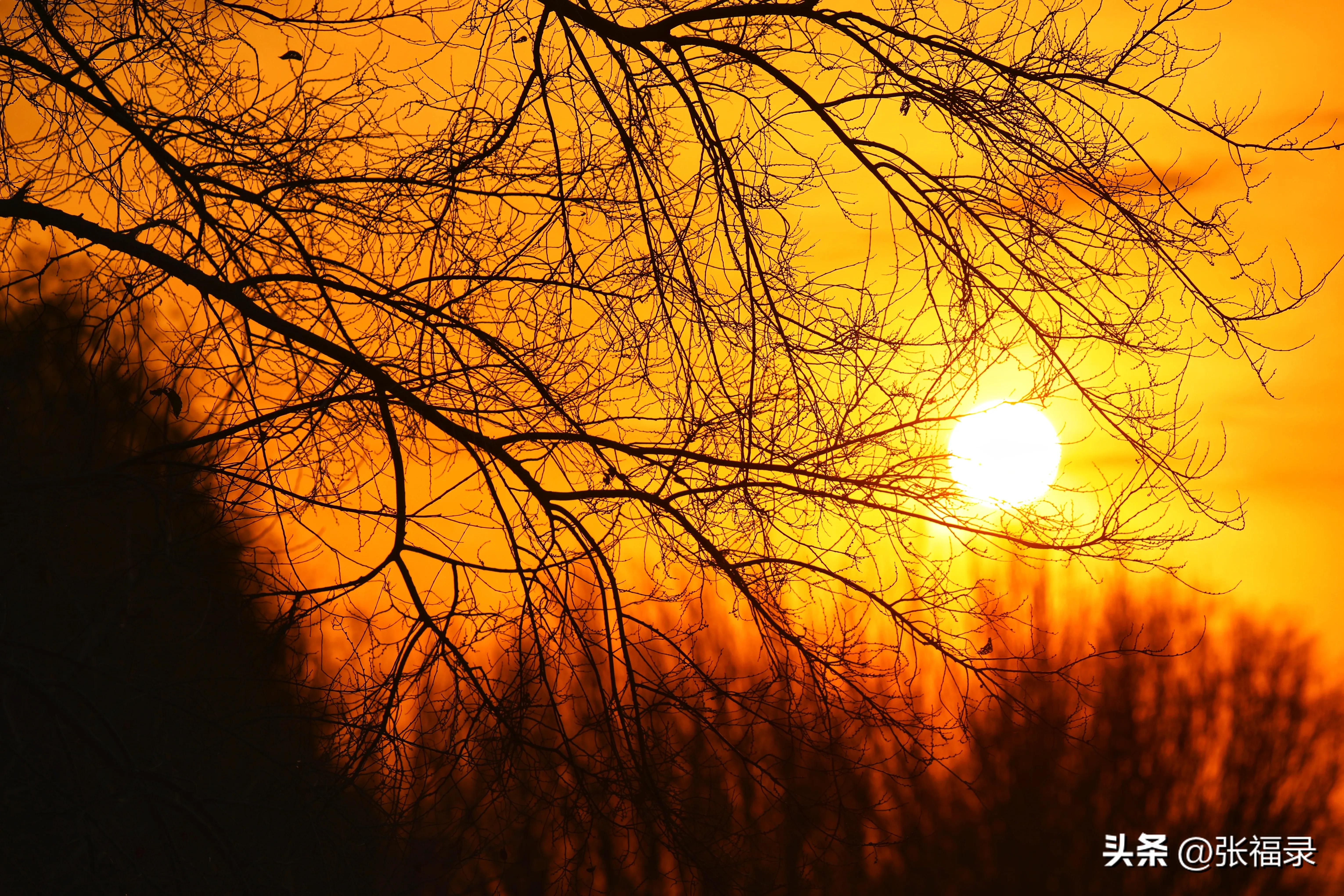 减肥两个月轻五斤,减肥两天体重下降2斤