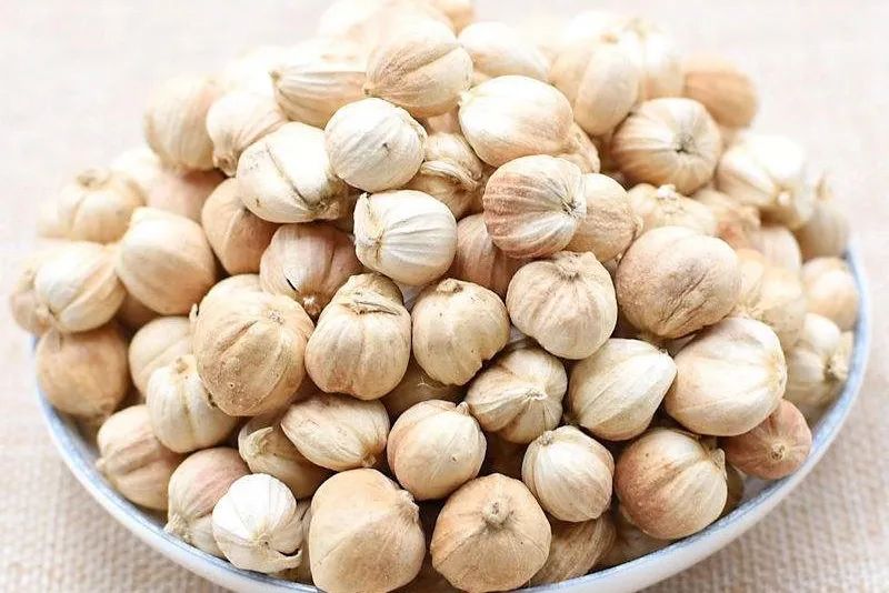 12种香料及分量,姜科植物的香料有哪些