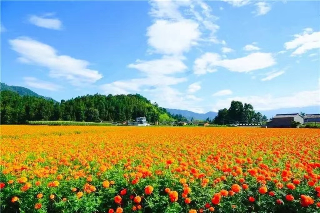 有一种生活叫云南的怒江,有一种生活叫云南生活发布会图片