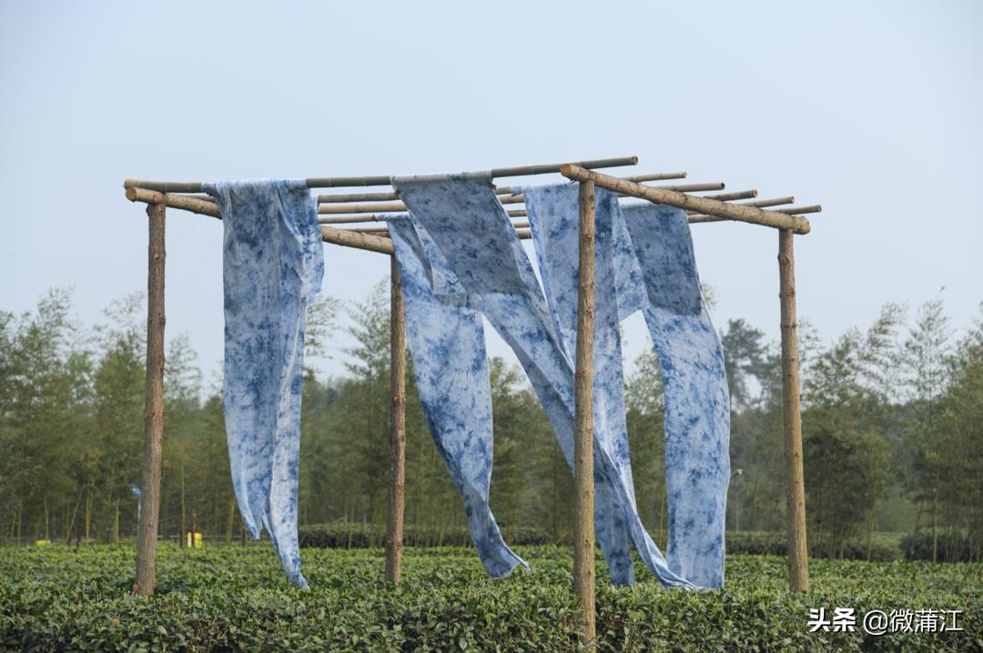 【新蒲江人】成都蒲江县乡村规划师邓小玲：扎根基层10年做乡村和规划之间的“桥梁”