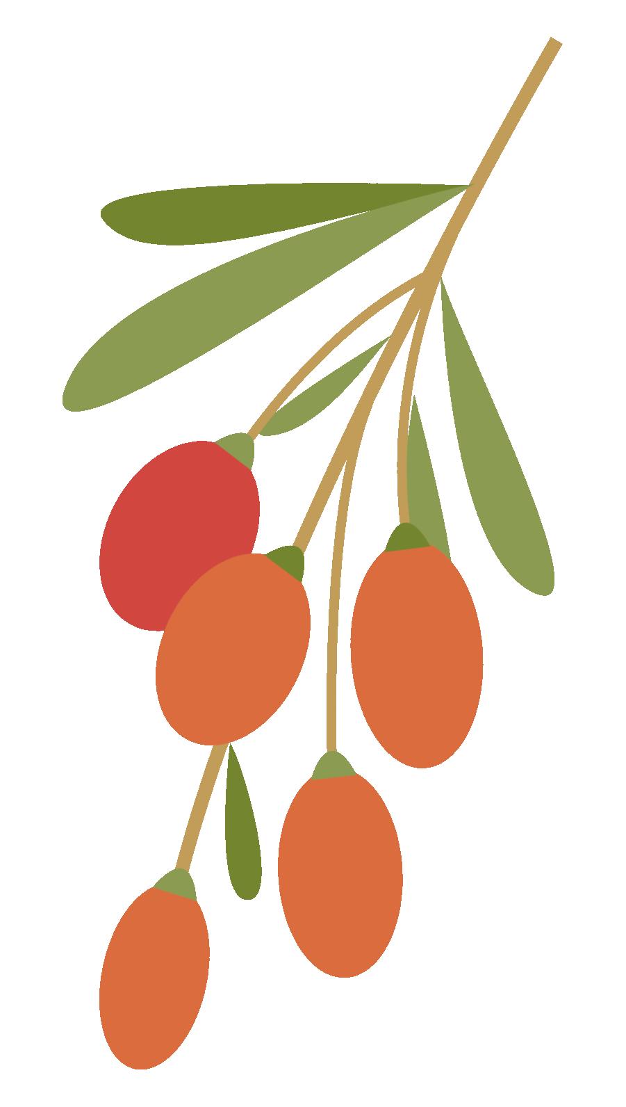 洗牙之后发现牙齿变歪了,洗牙发现牙松了