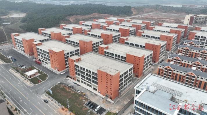 “包”容天下梧高凤必至