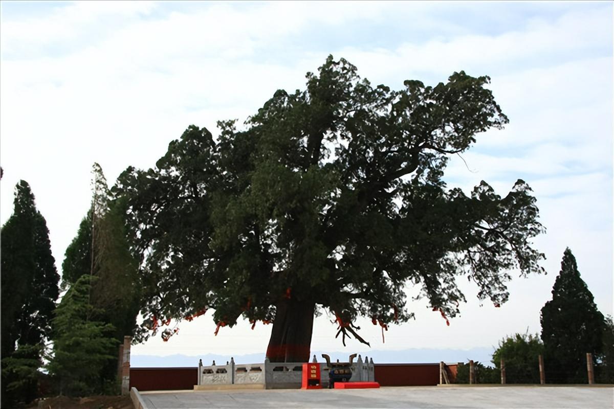 运城芮城由来,山西省运城市芮城县历史