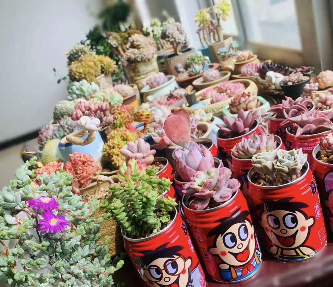 邻居扔垃圾屡教不改,邻居总是扔垃圾在花坛