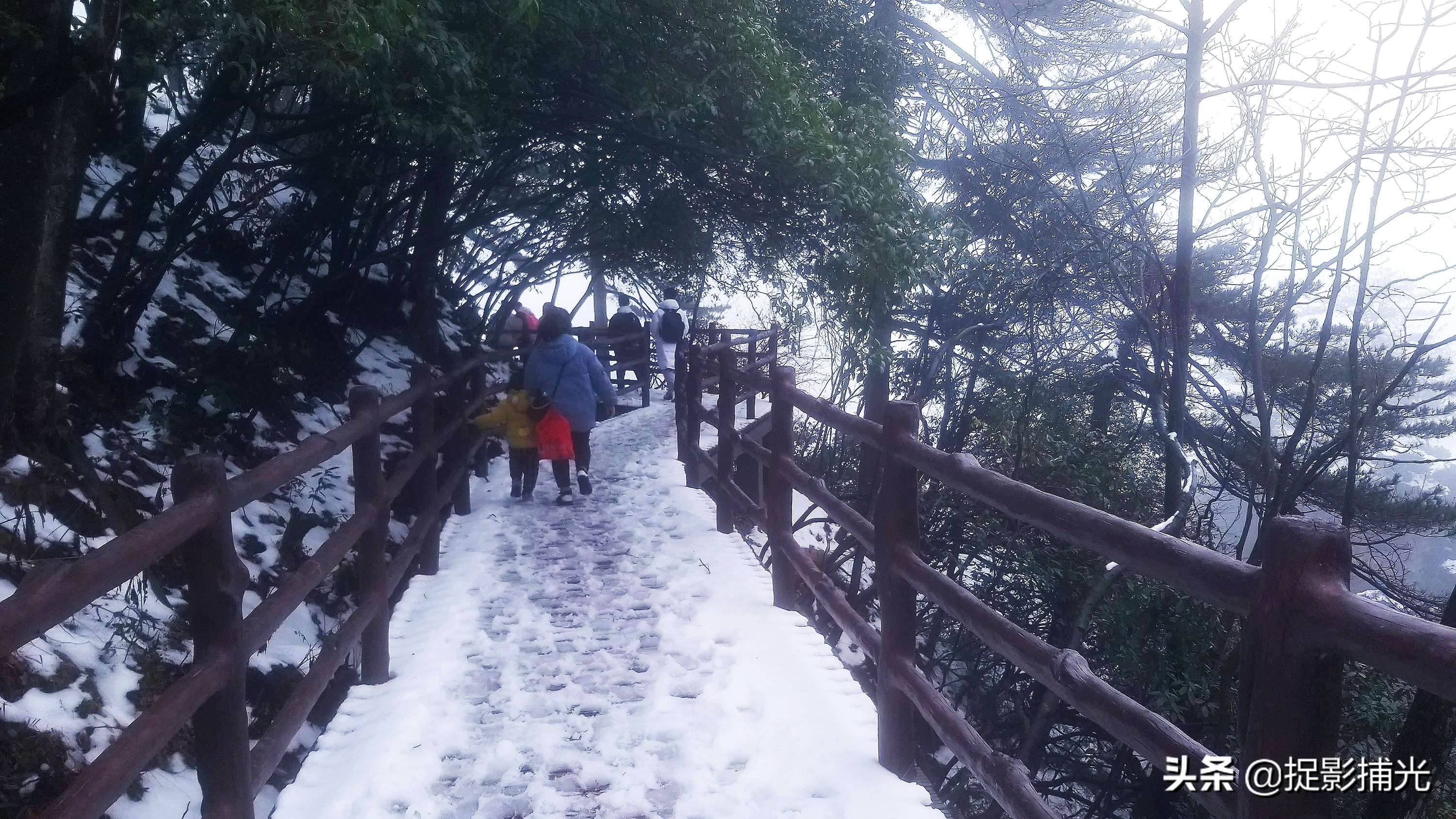 张家界跟团如何避坑,在张家界报团旅游陷阱