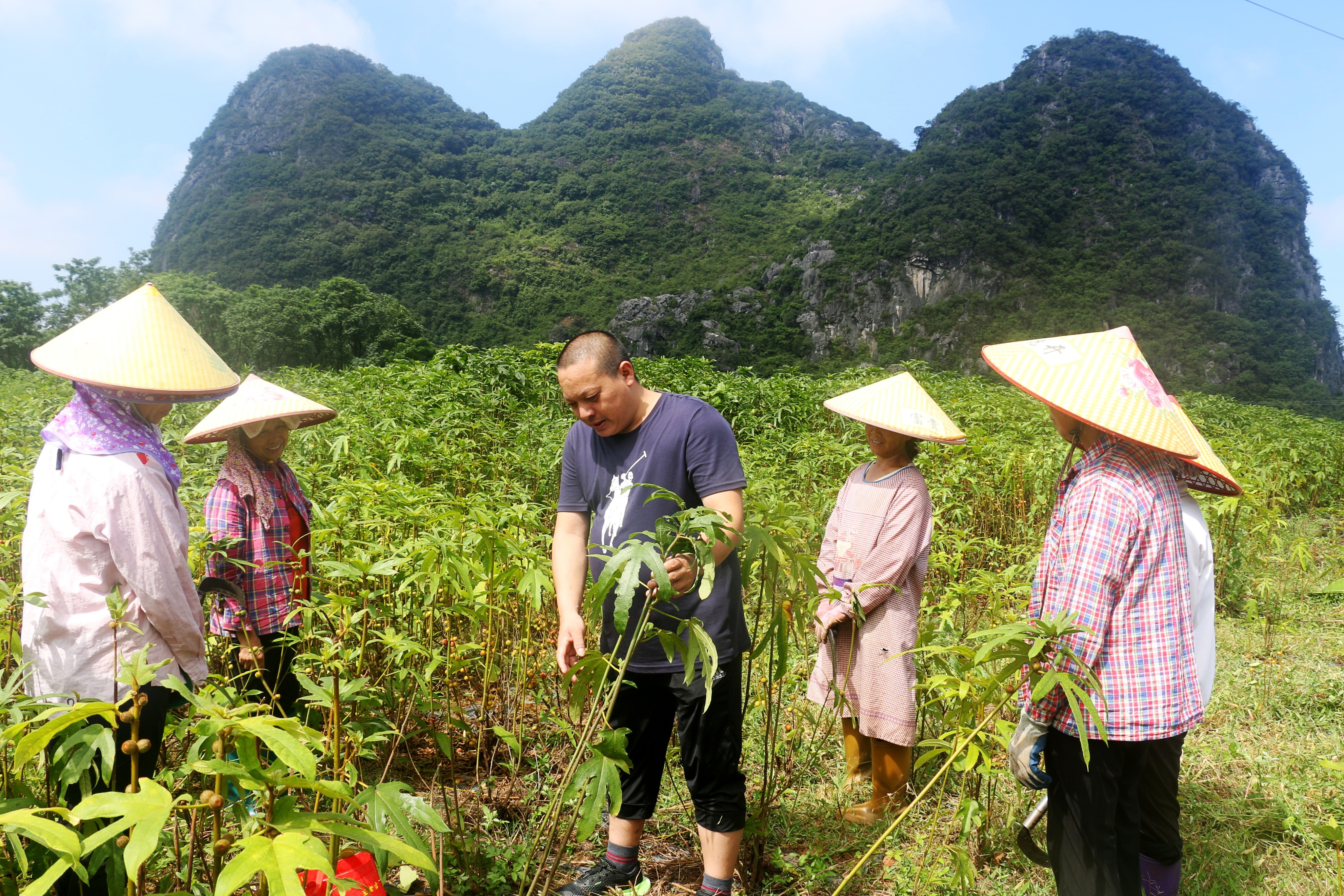 广西钟山：“绿色银行”点“绿”成“金”