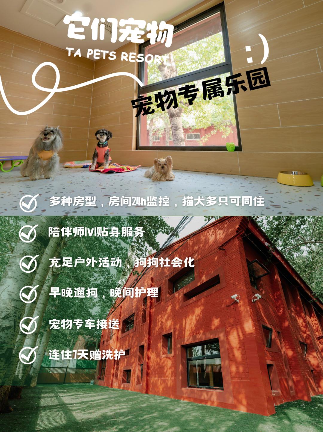 各单位注意！6.9-6.11「萌力全开！宠物文化市集」各摊主已就位！快来Pick你最中意的他