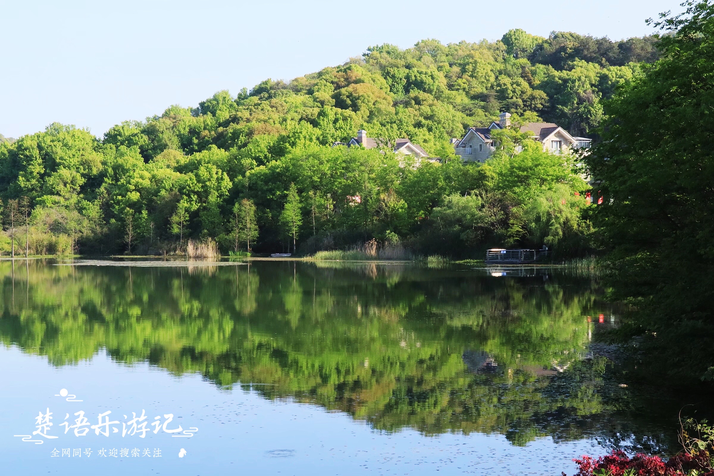 宁波这个网红景点不仅有花海，原来还是露营胜地，湖光山色美如画