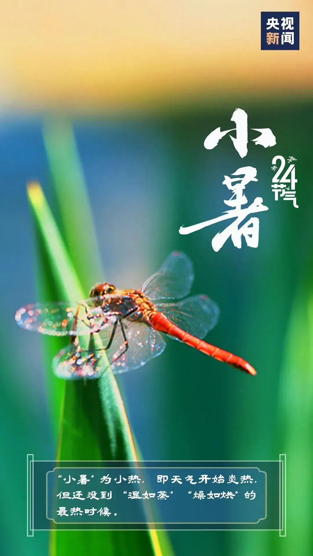 小暑节气快乐高级图片,关于小暑的精美图片