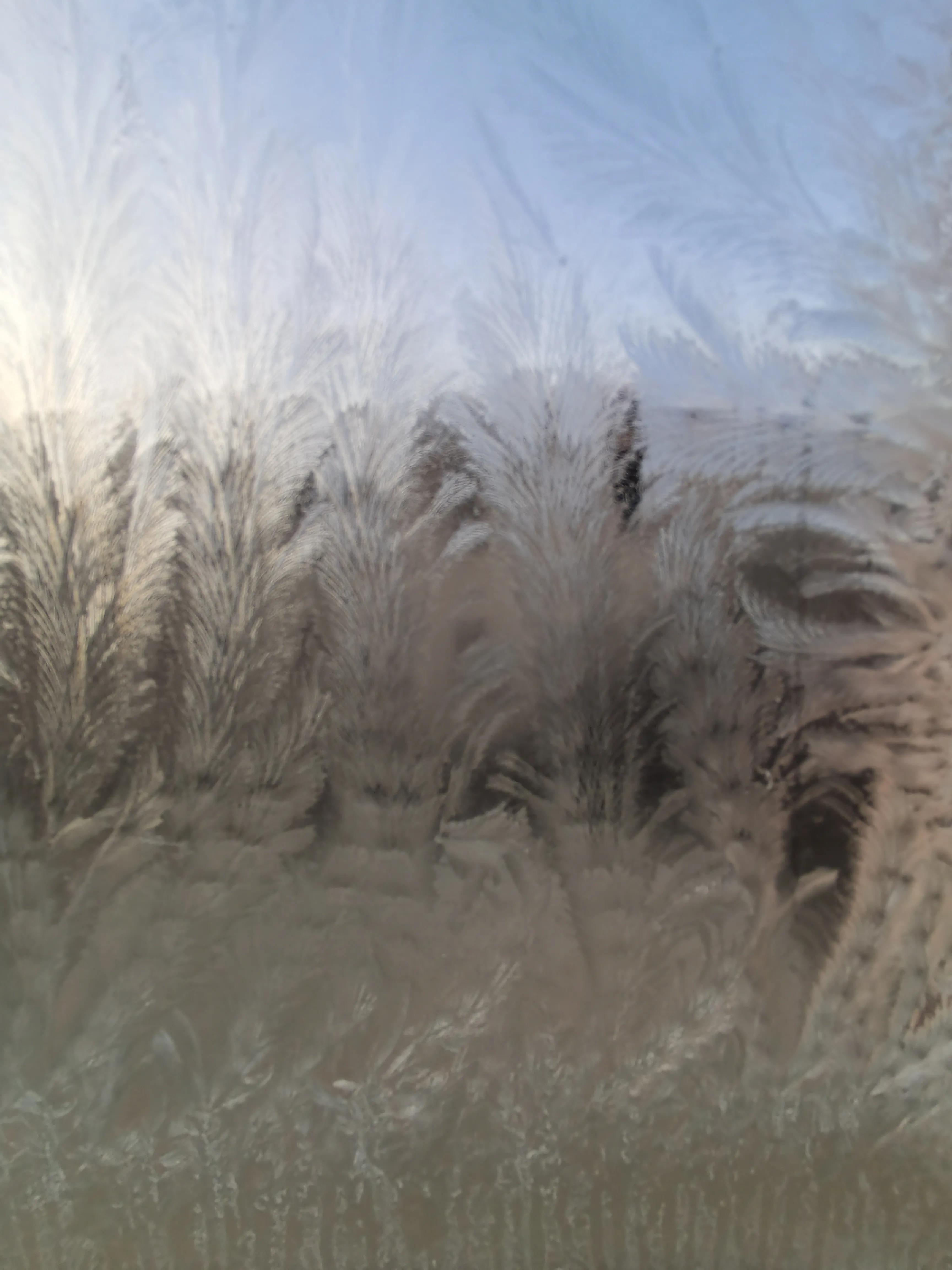 不用剪刀做出来的简单窗花,窗花有哪种常见制作方法