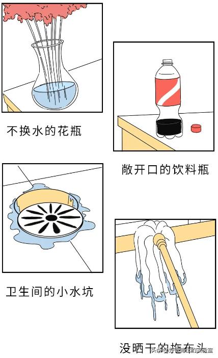 到底住几楼以上夏天才没蚊子,住多少楼层会没有蚊子