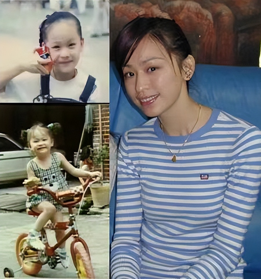 王心凌22年爆火后开了多少演唱会,王心凌是什么时候再次火起来的