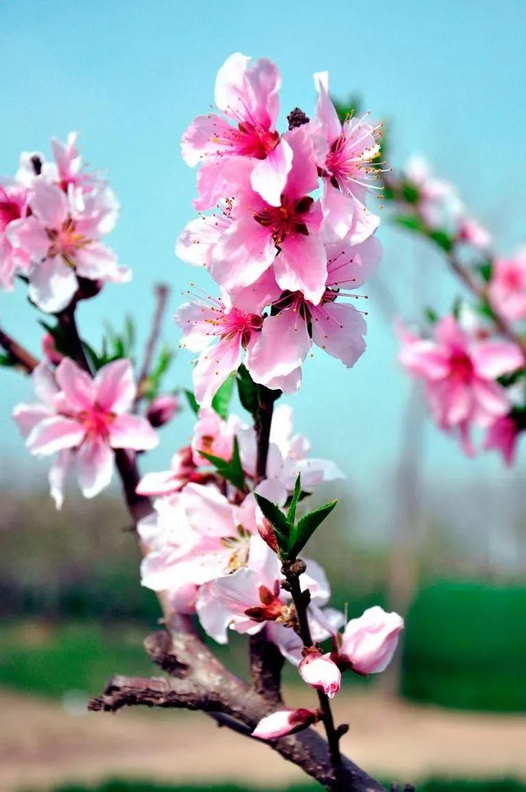 负债60万解决方法,负债20w的解决办法